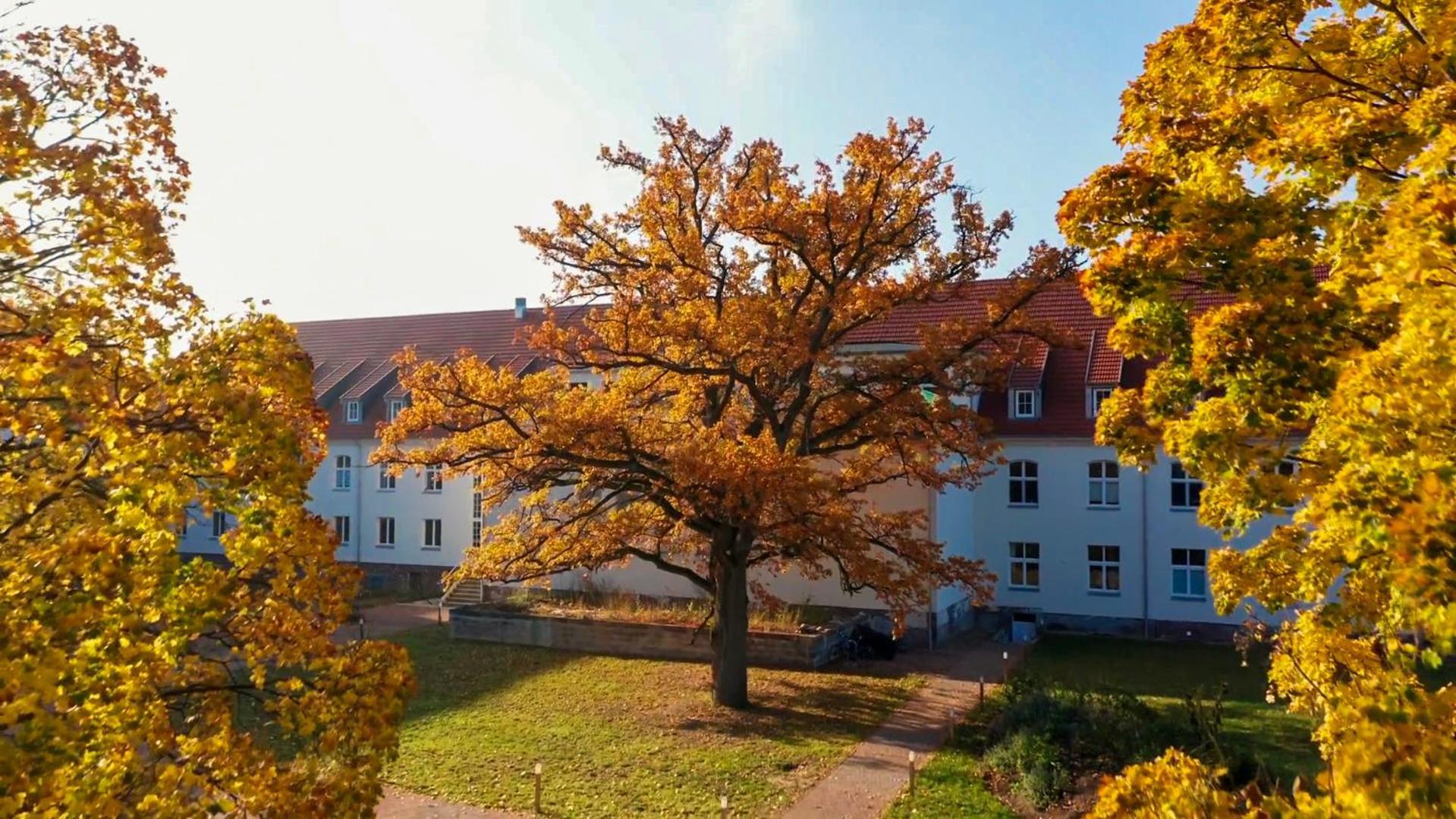 Parkresidenz Lychen, Ferienwohnung 8 Eksteriør bilde